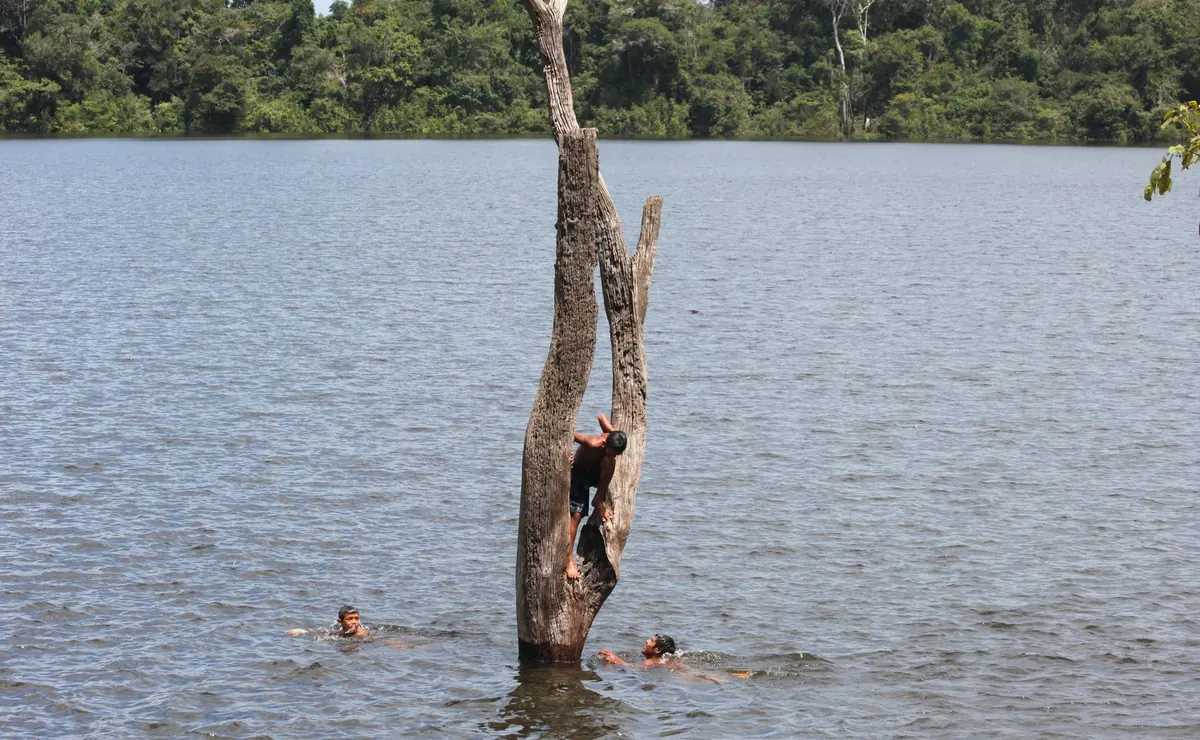 Guides swimming in the river beside a lone weathered tree trunk